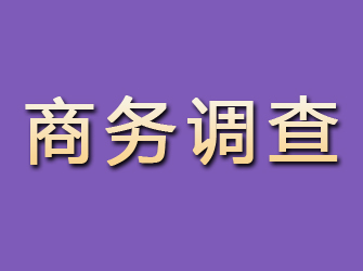 沭阳商务调查